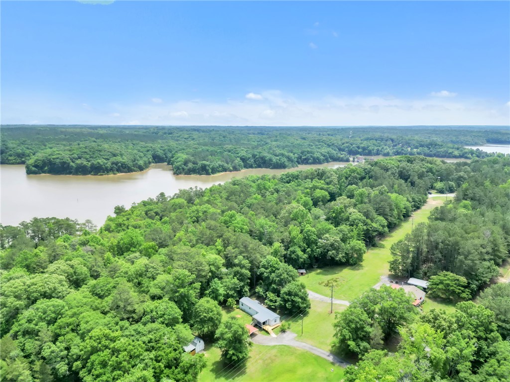 506 Charlies Creek Road Iva, SC 29655 - Photo 27 of 28 A sprawling waterside property offers serene forest views and a private, verdant landscape.