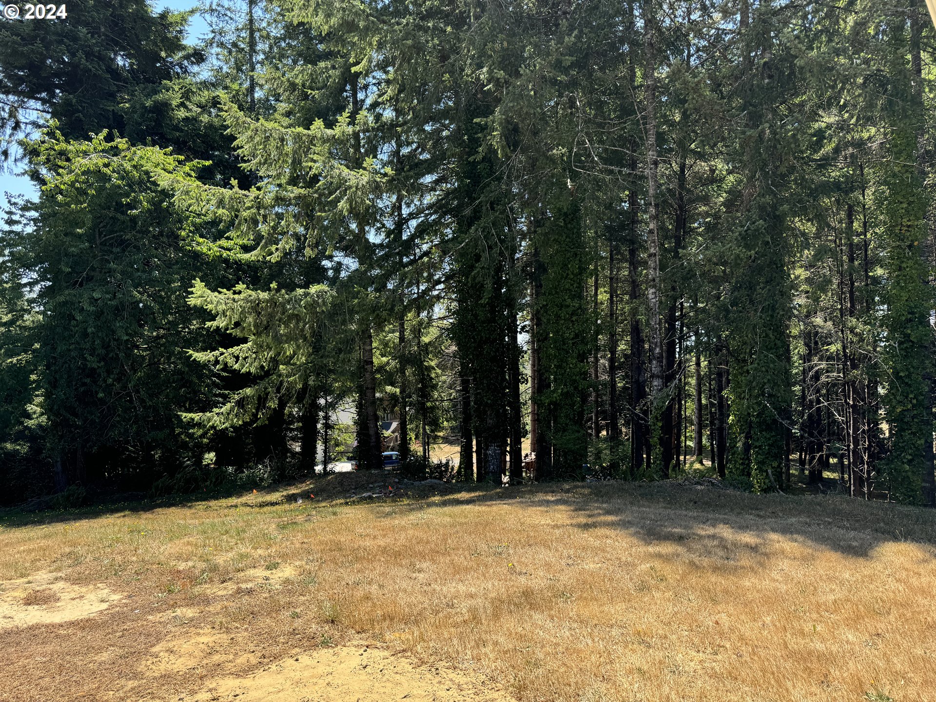 56188 Prosper Jct Road Bandon, OR 97411 - Photo 34 of 44