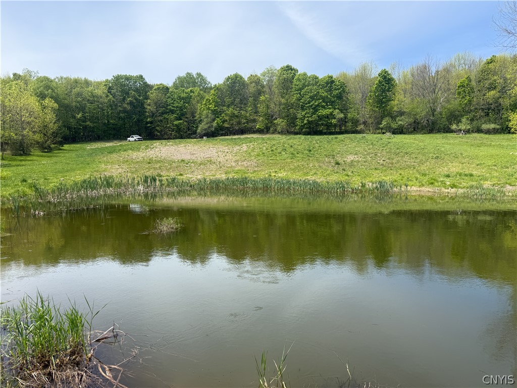 6275 Isenecker Road Boonville, NY 13309 - Photo 5 of 7