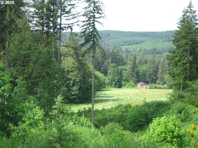a view of a lush green forest with trees and some houses