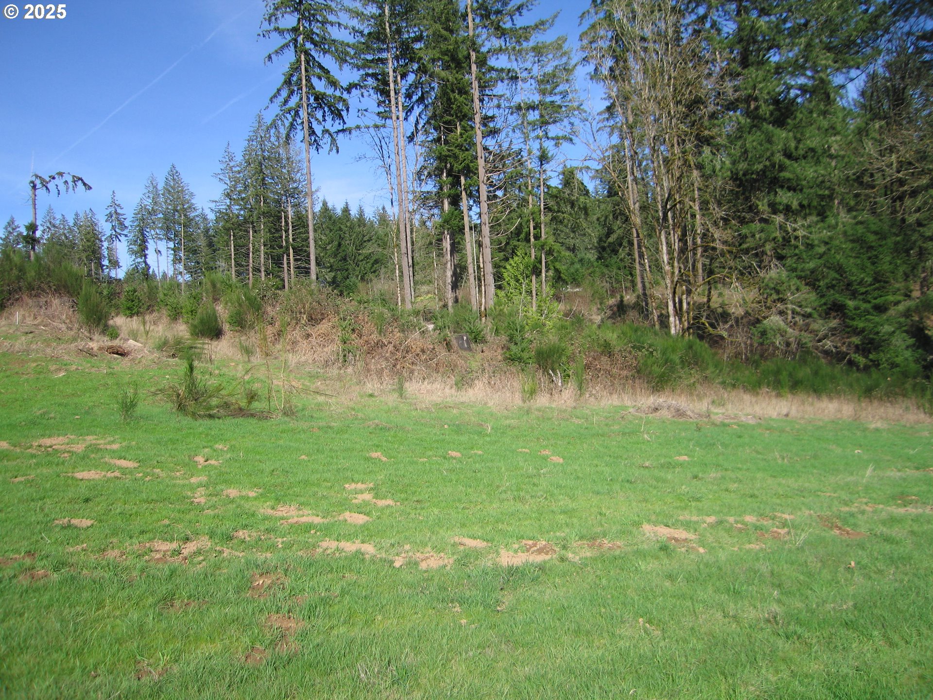 0 Northwest Dairy Creek Road North Plains, OR 97133 - Photo 13 of 14 a view of a garden