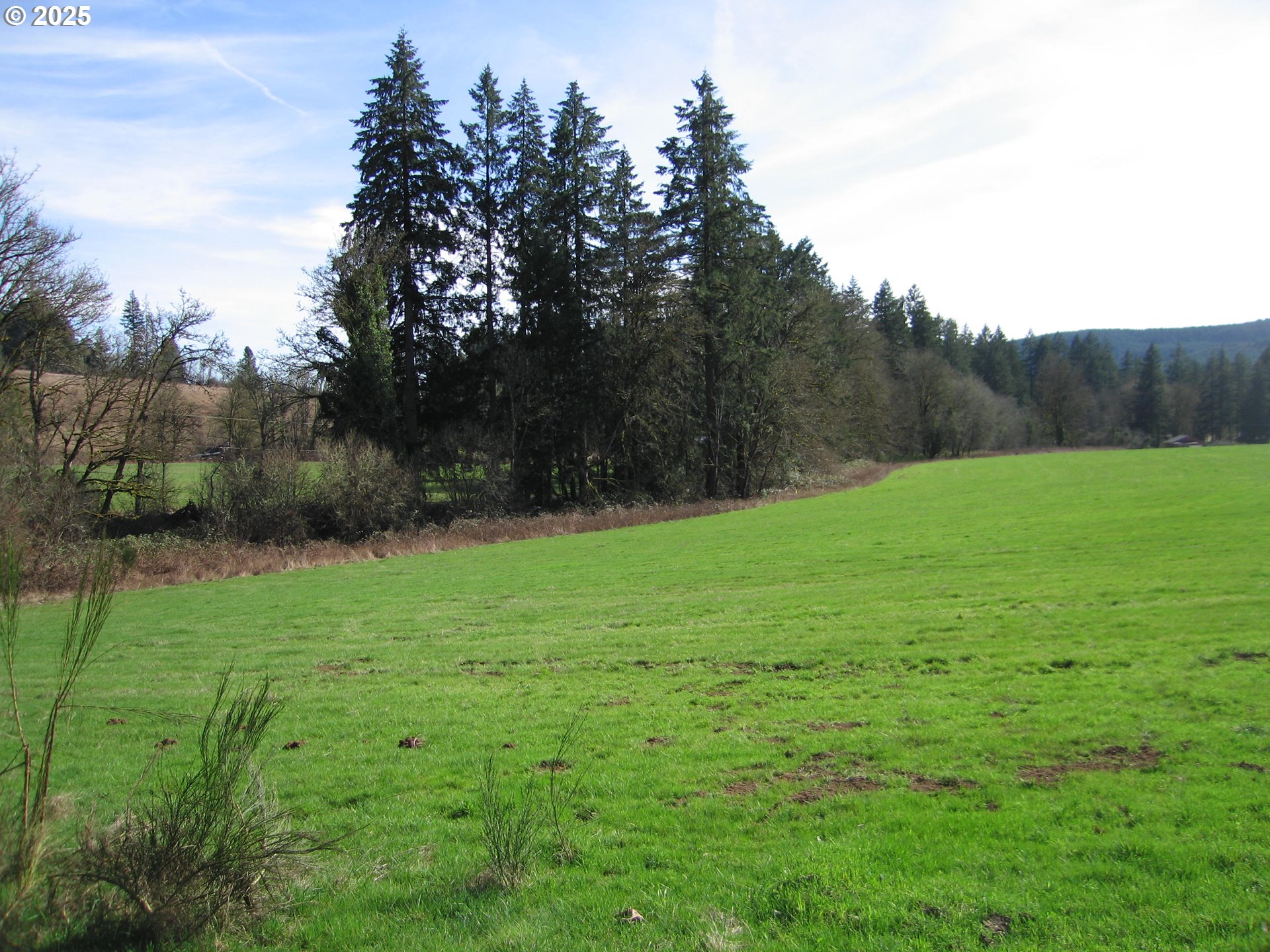 0 Northwest Dairy Creek Road North Plains, OR 97133 - Photo 14 of 14 a view of an beautiful outdoor space