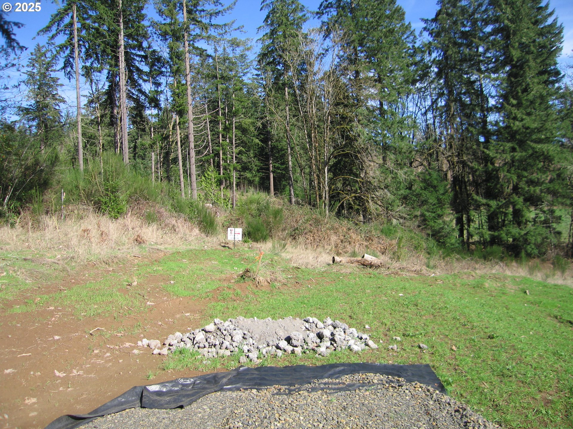0 Northwest Dairy Creek Road North Plains, OR 97133 - Photo 4 of 14 a view of a garden with a lake