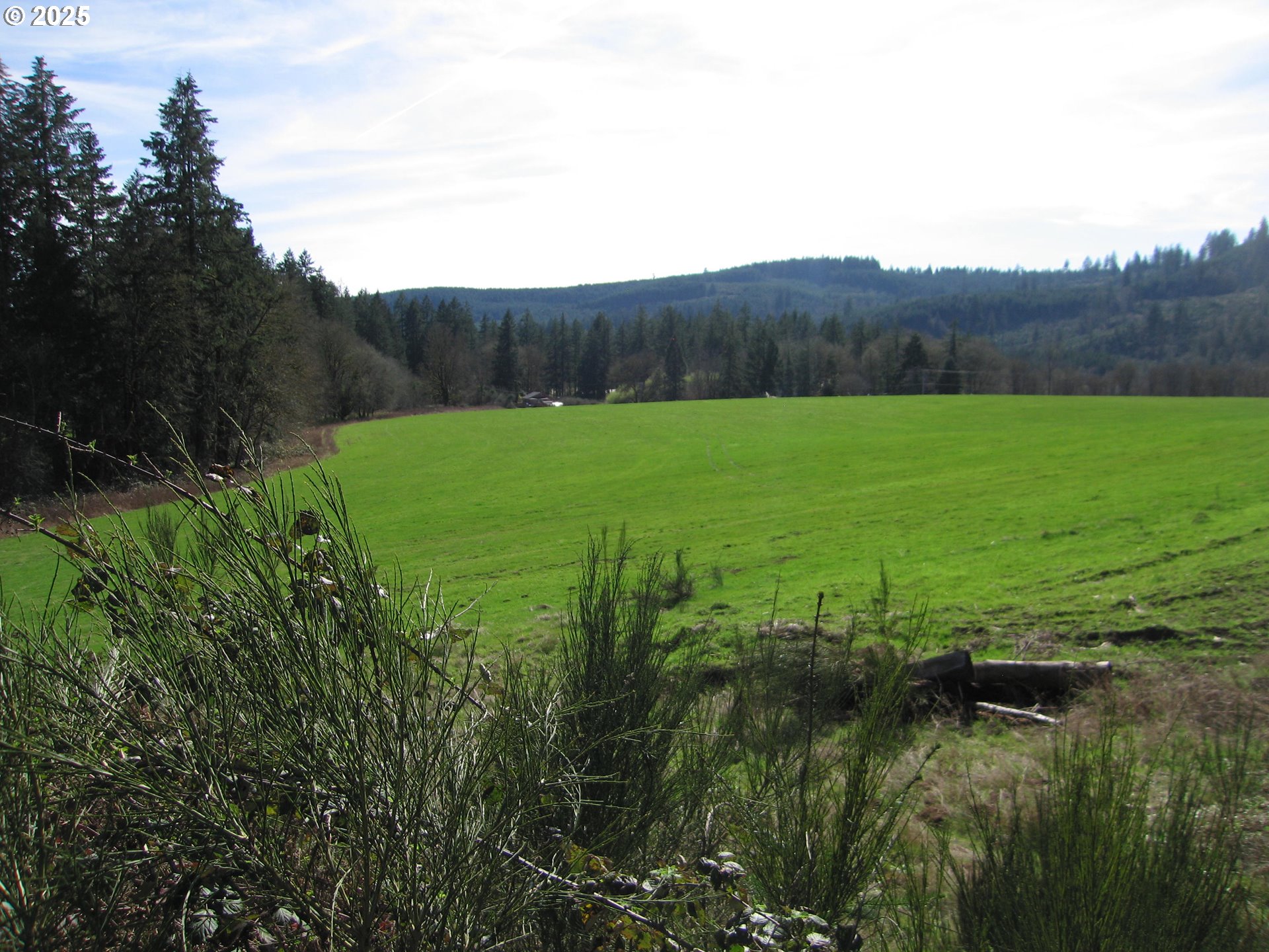 0 Northwest Dairy Creek Road North Plains, OR 97133 - Photo 7 of 14 a view of an outdoor space and a lake view