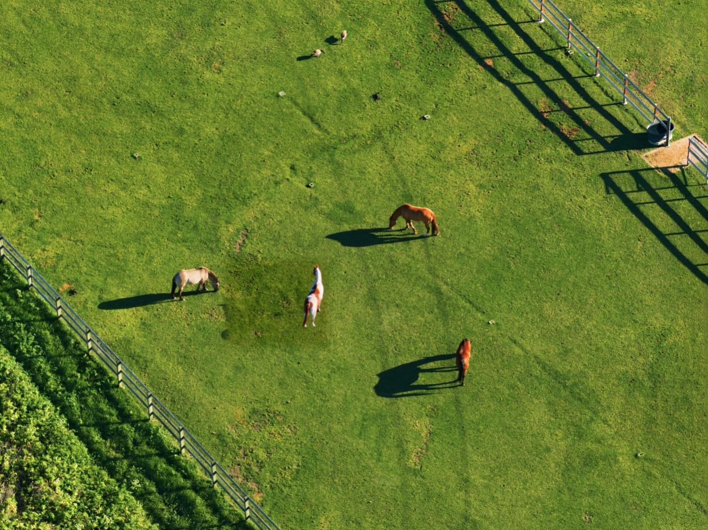 53 Riley Ranch Road, Unit 53A53B53C Carmel, CA 93923 - Photo 52 of 53