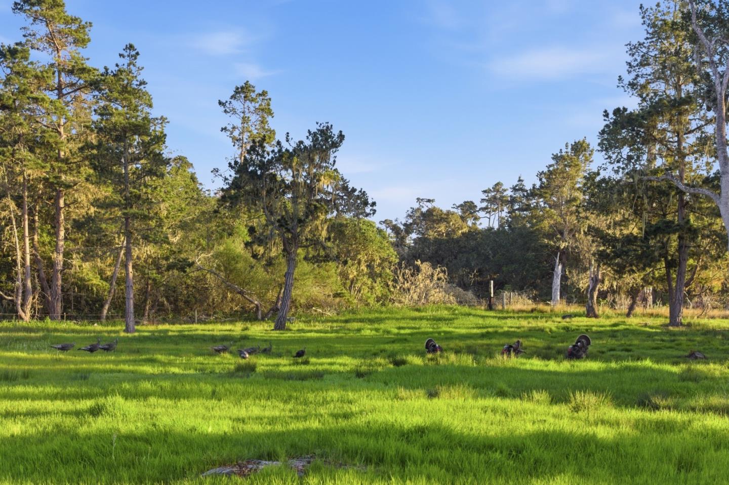 53 Riley Ranch Road, Unit 53A53B53C Carmel, CA 93923 - Photo 53 of 53