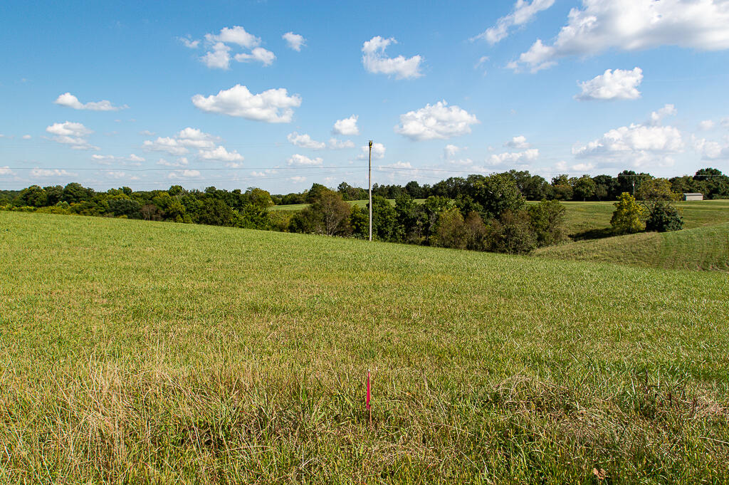 13200 Bald Knob Road Frankfort, KY 40601 - Photo 13 of 61 DSC_8459