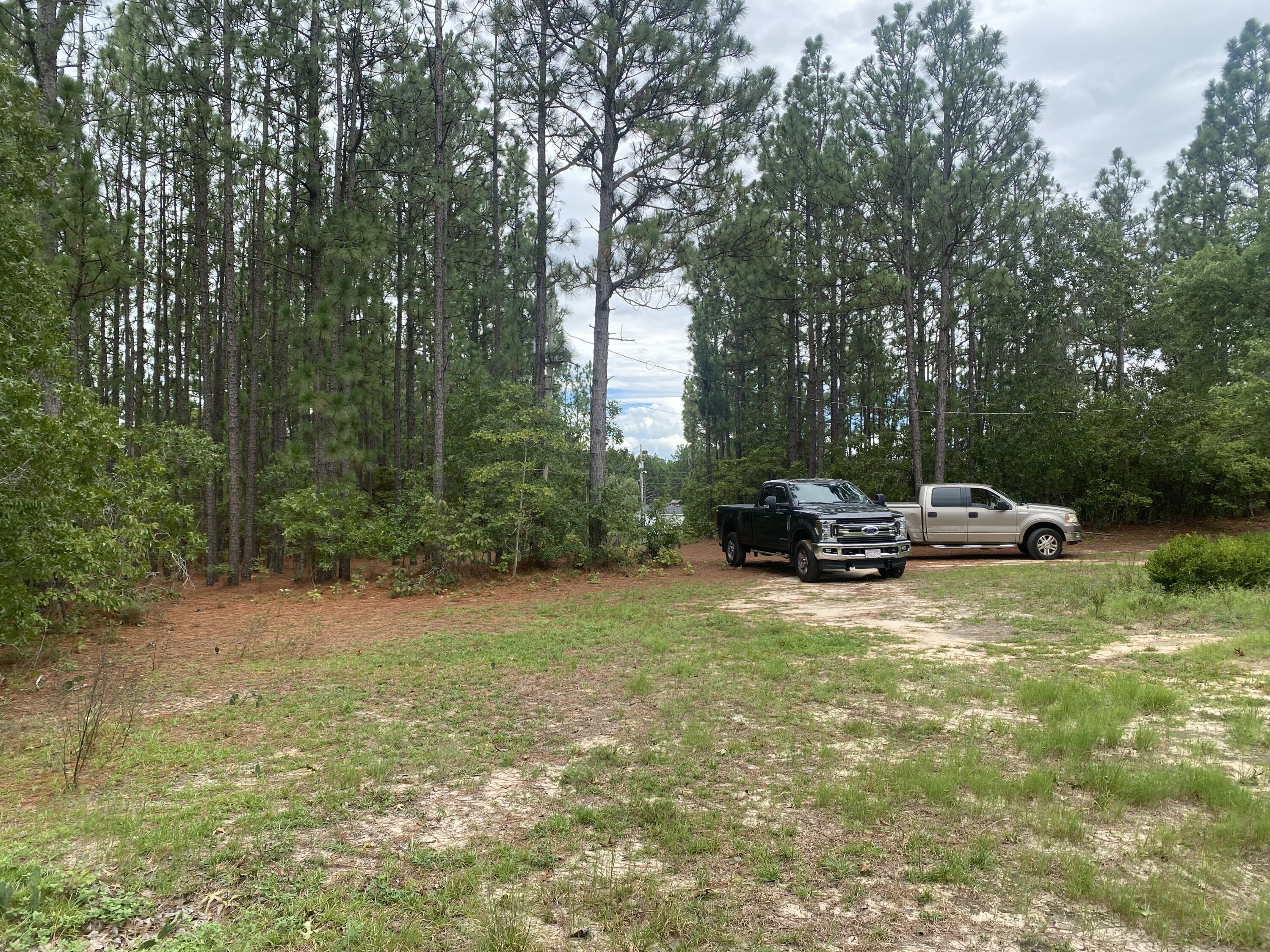 134 Mt Zion Road Graniteville, SC 29829 - Photo 4 of 7