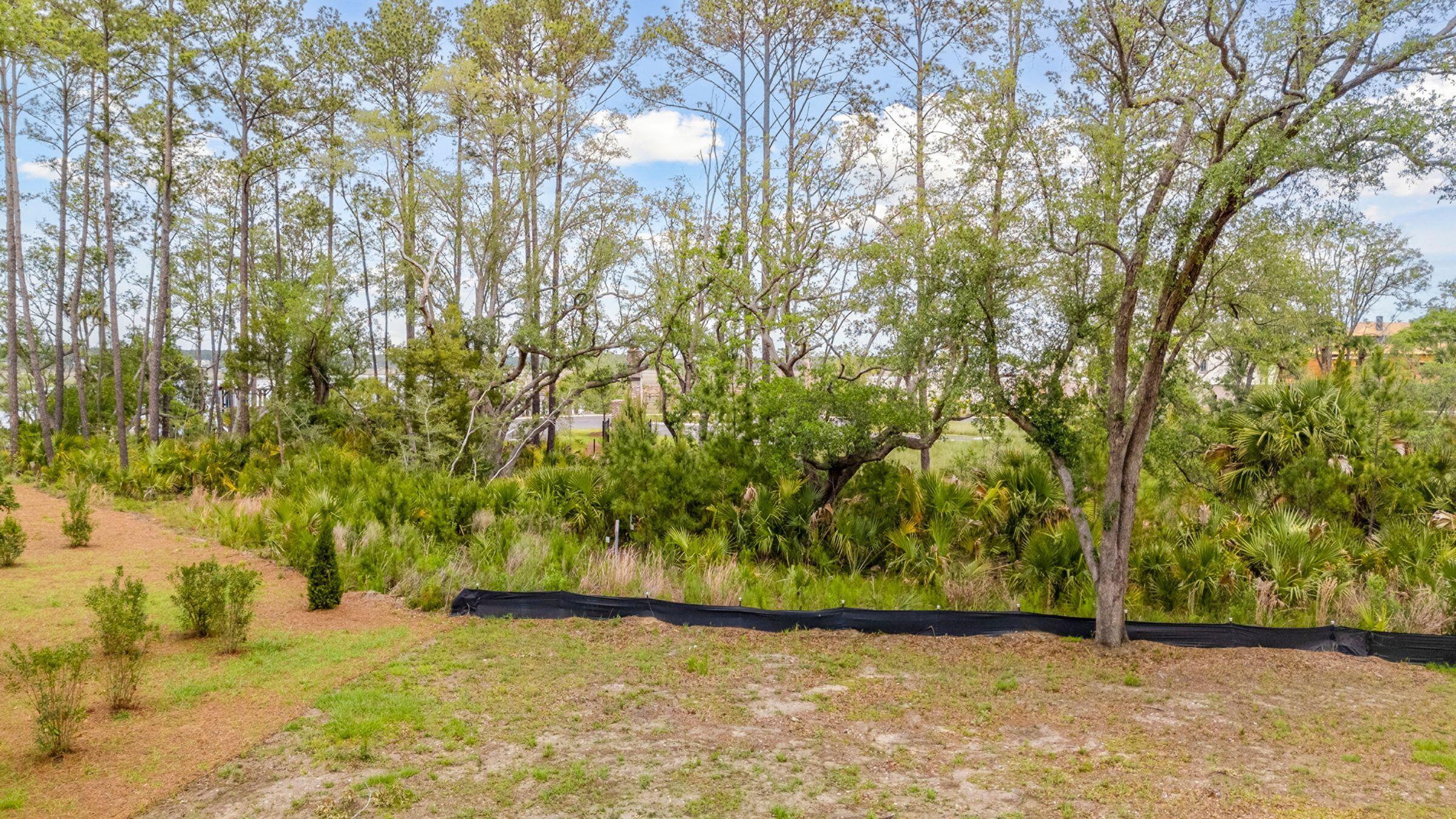 821 Roddin Street Charleston, SC 29492 - Photo 40 of 57 821 Roddin