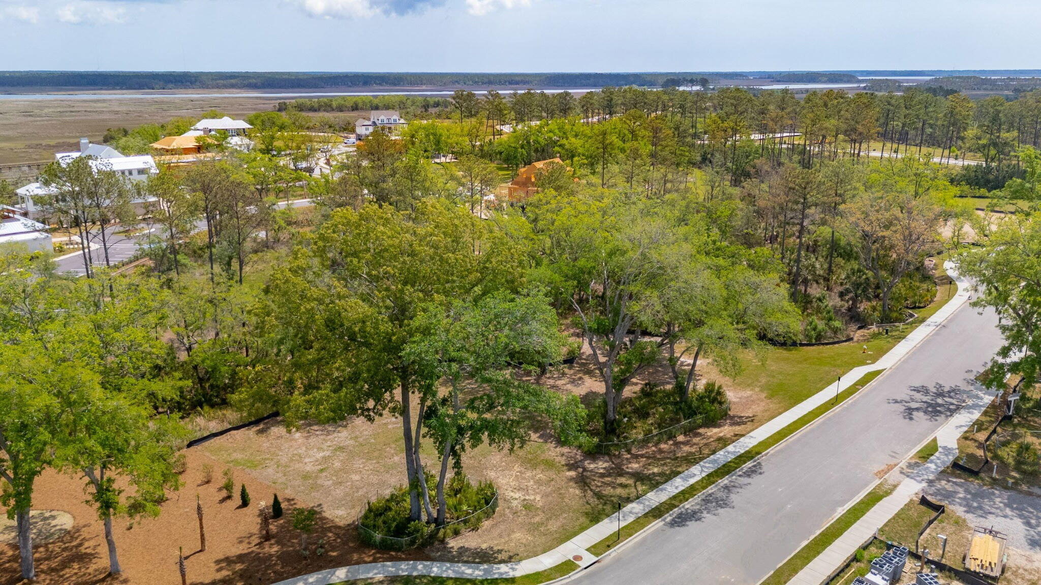 821 Roddin Street Charleston, SC 29492 - Photo 45 of 57 821 Roddin