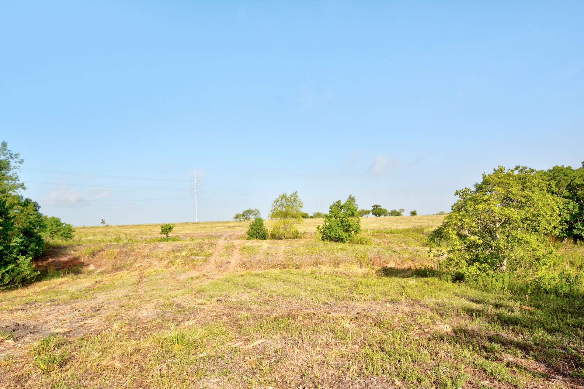 14512 Graef Road, Unit B Buda, TX 78610 - Photo 17 of 20 A sprawling, verdant expanse offers abundant space for building and natural surroundings.