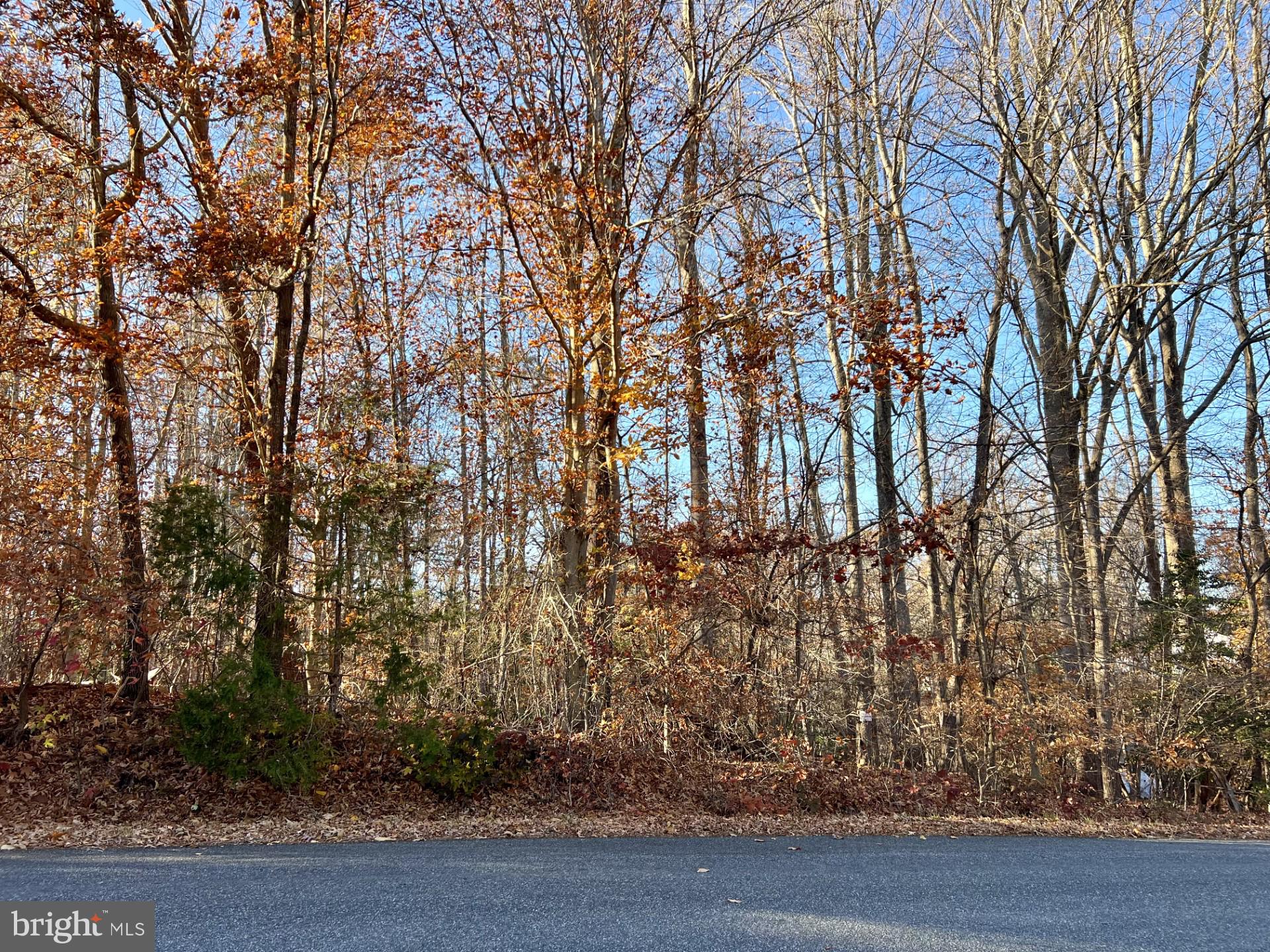 Lot 2 Sandy Ridge Road Fredericksburg, VA 22405 - Photo 4 of 9 Gallery Image 4
