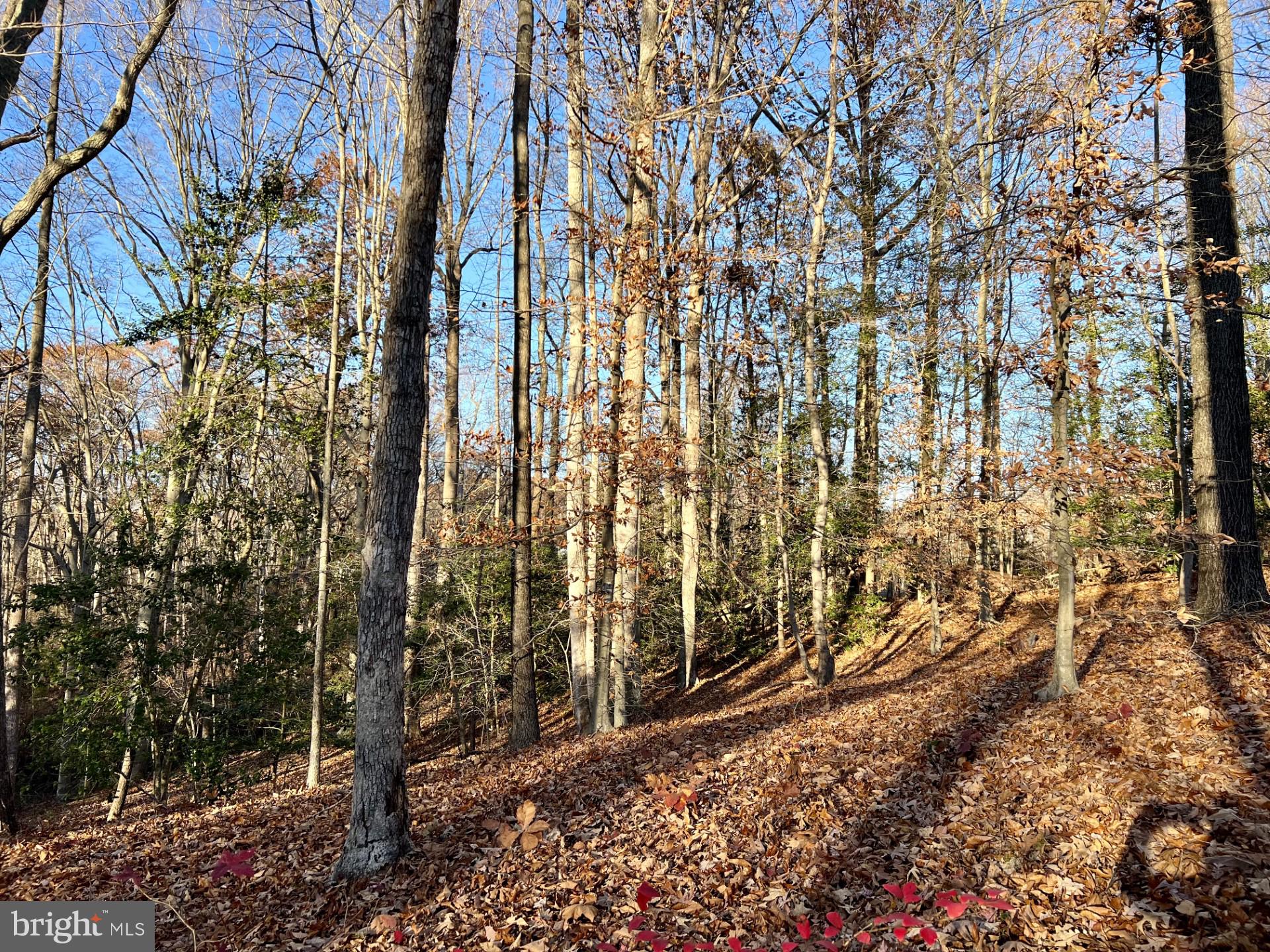 Lot 2 Sandy Ridge Road Fredericksburg, VA 22405 - Photo 5 of 9 Gallery Image 5