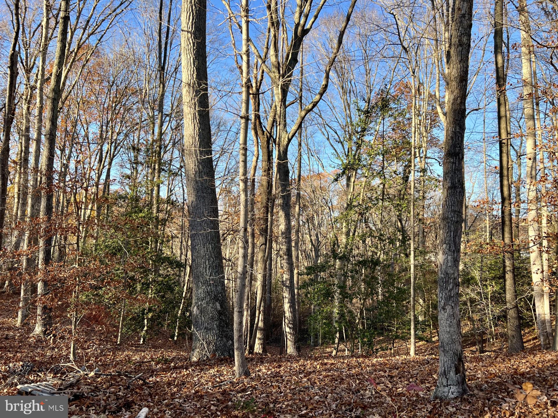 Lot 2 Sandy Ridge Road Fredericksburg, VA 22405 - Photo 8 of 9 Gallery Image 8