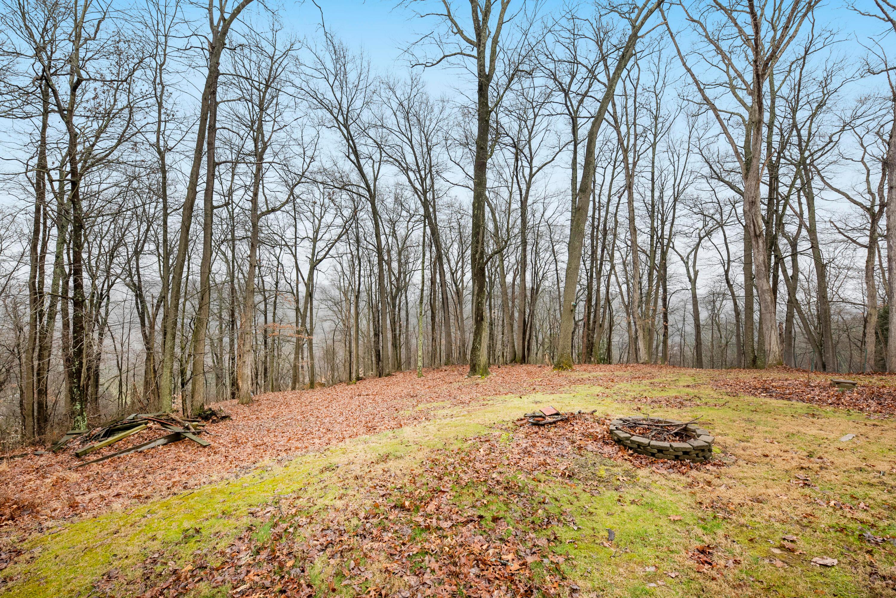 25823 Rockview Road Rockbridge, OH 43149 - Photo 39 of 75 Yard