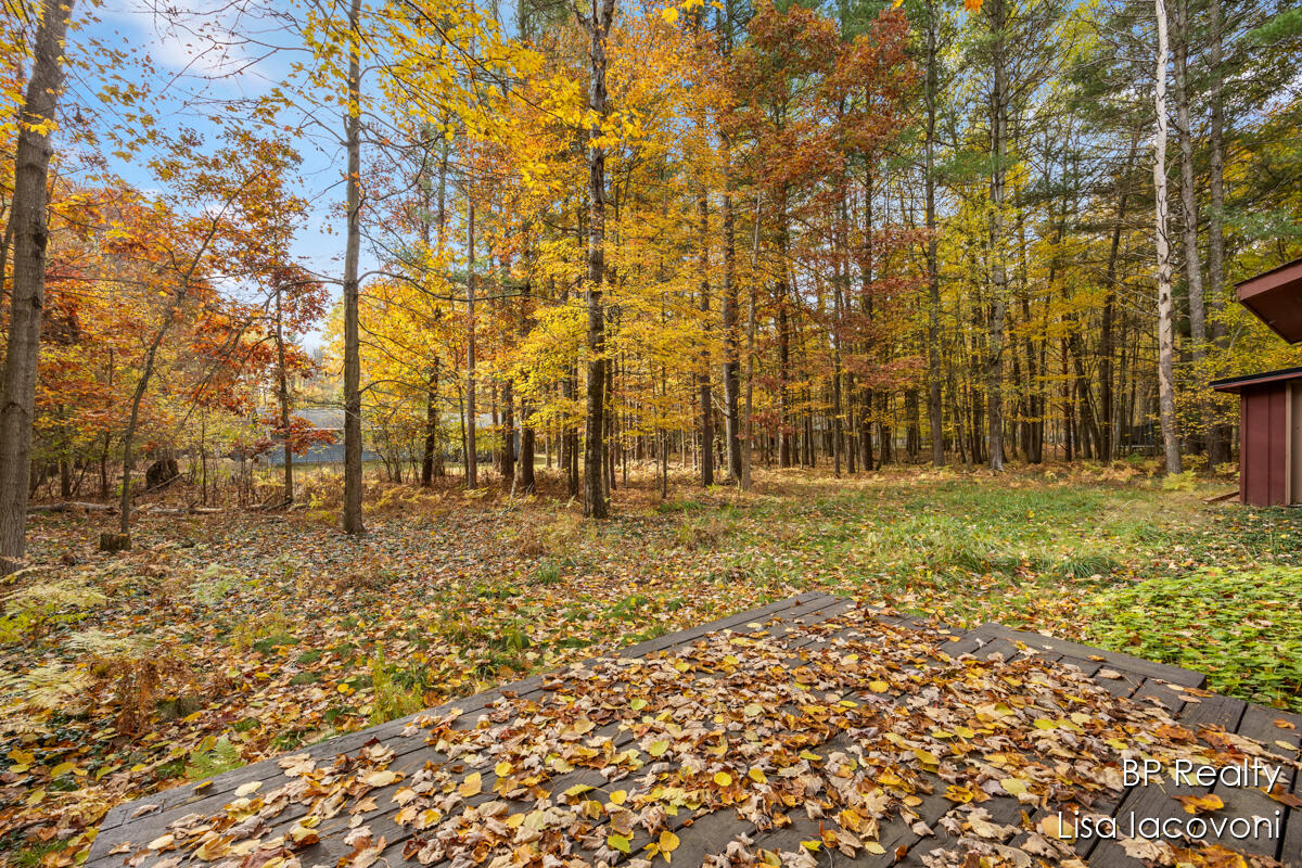 9103 Walnut Grove Stanwood, MI 49346 - Photo 21 of 36 IMG_1018