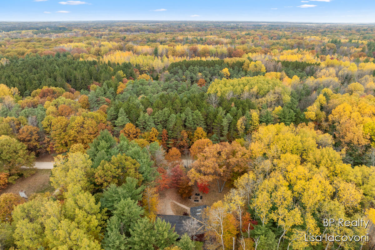 9103 Walnut Grove Stanwood, MI 49346 - Photo 34 of 36 IMG_1029