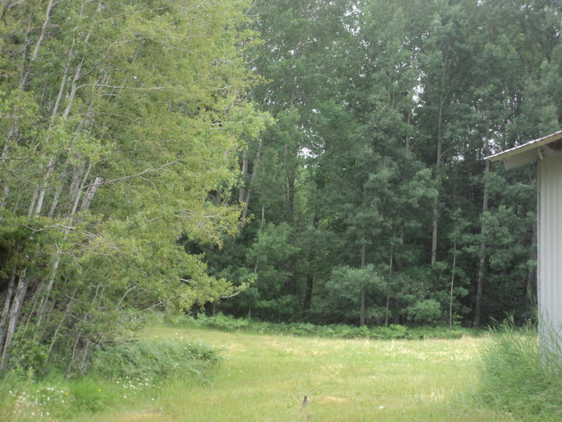 13440 Funk Road Hillman, MI 49746 - Photo 19 of 28 Gallery Image 19