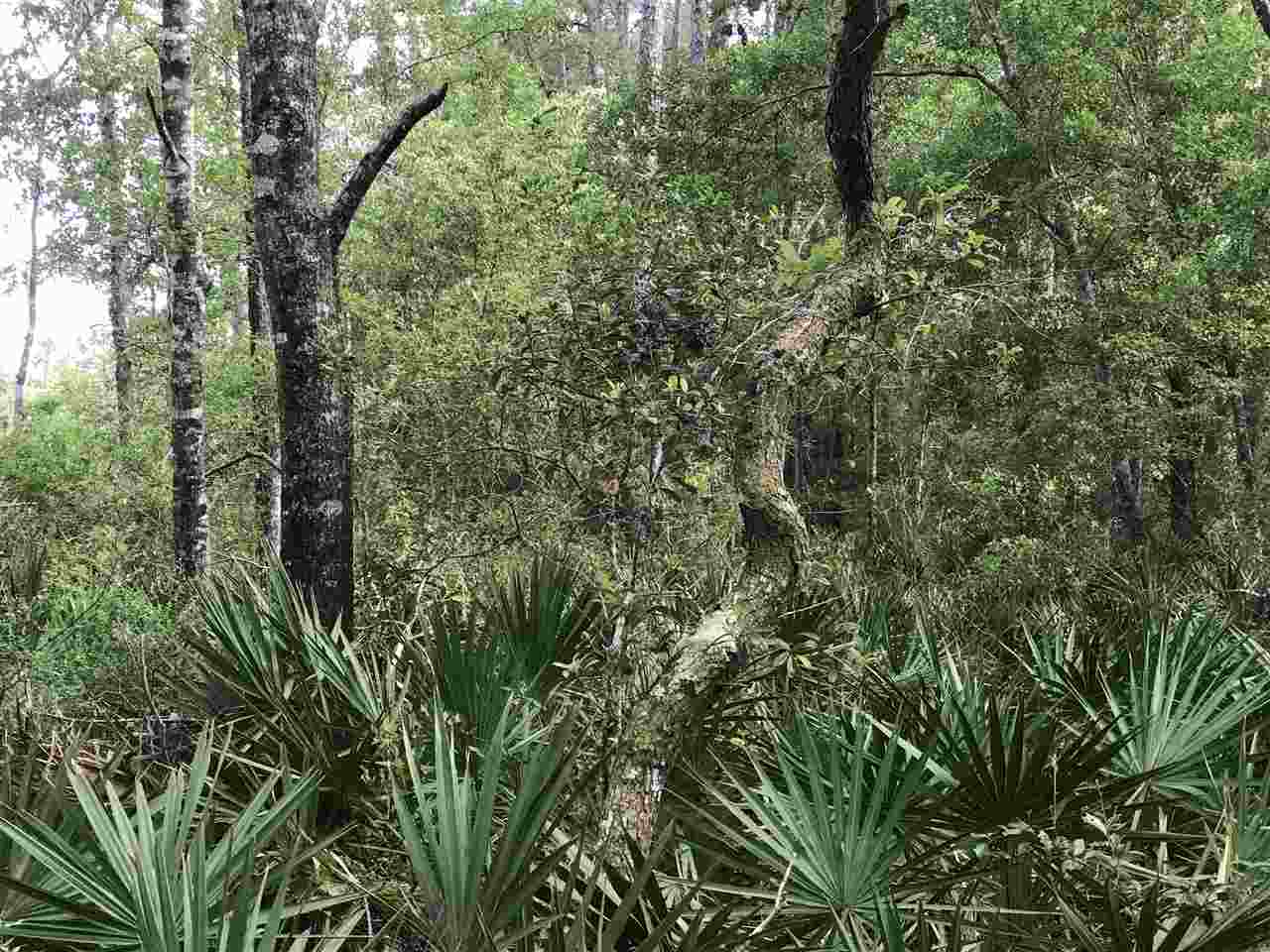0 Boynton Road Elberta, AL 36530 - Photo 7 of 29