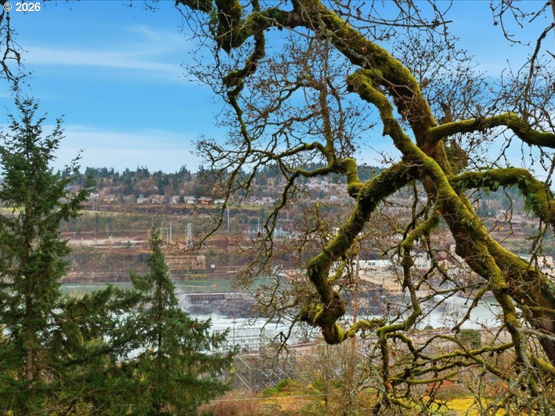 511 South Center Street Oregon City, OR 97045 - Photo 5 of 43