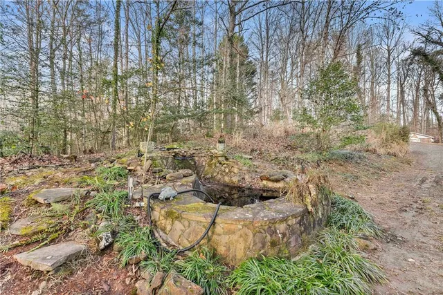 a view of a back yard