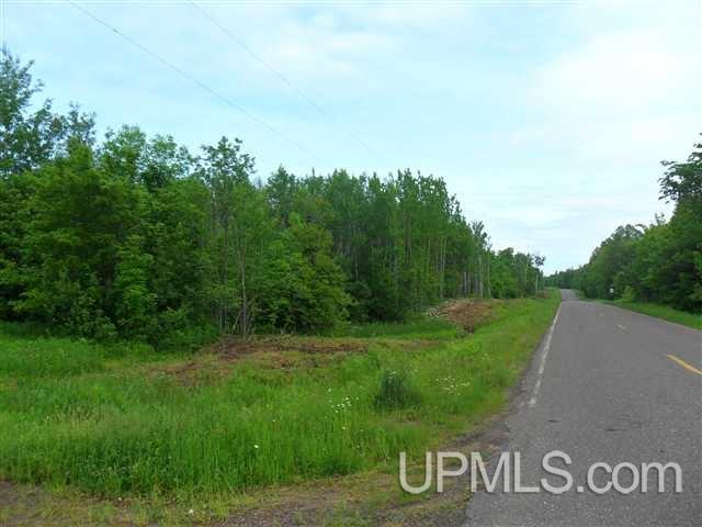 Off Firesteel Road Ontonagon, MI 49929 - Photo 2 of 9