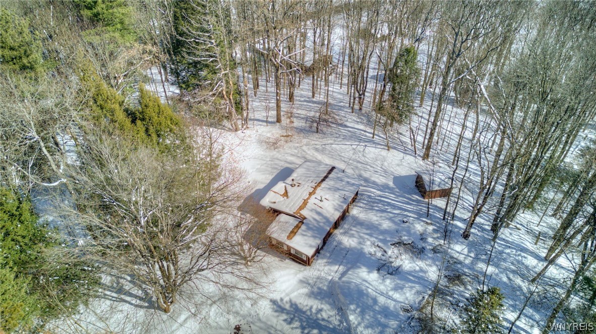 13357 Ward Road Holland, NY 14080 - Photo 32 of 37