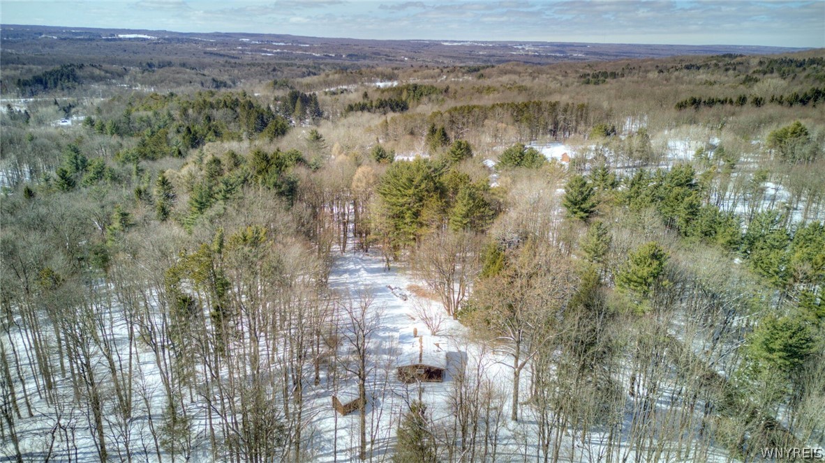 13357 Ward Road Holland, NY 14080 - Photo 33 of 37