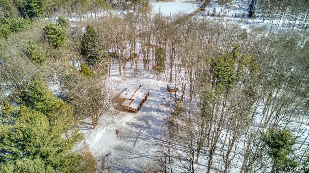 13357 Ward Road Holland, NY 14080 - Photo 34 of 37