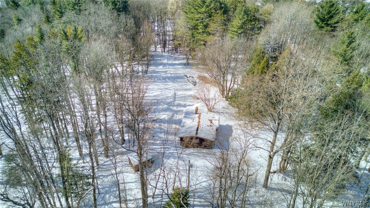 13357 Ward Road Holland, NY 14080 - Photo 35 of 37