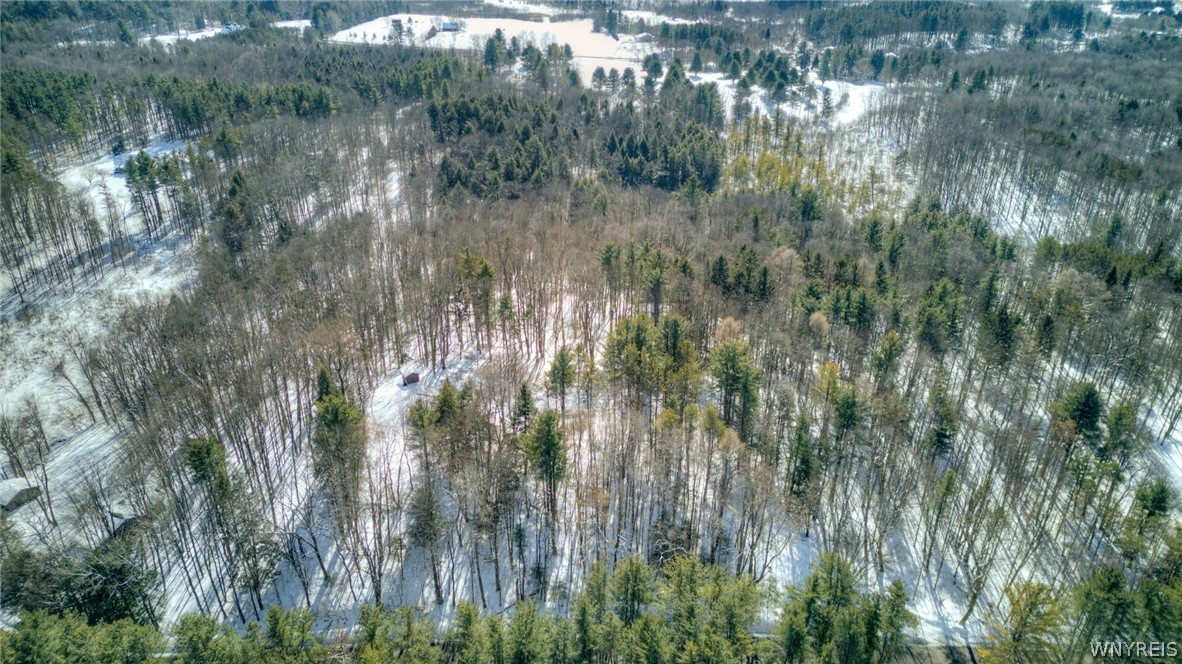 13357 Ward Road Holland, NY 14080 - Photo 36 of 37