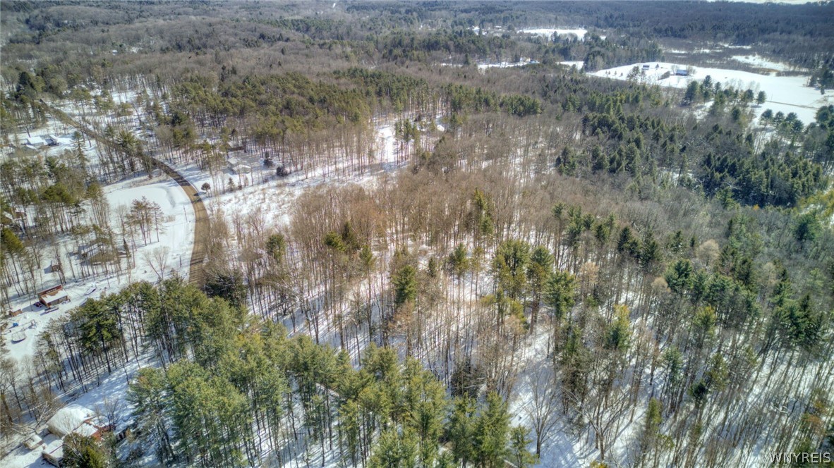 13357 Ward Road Holland, NY 14080 - Photo 37 of 37