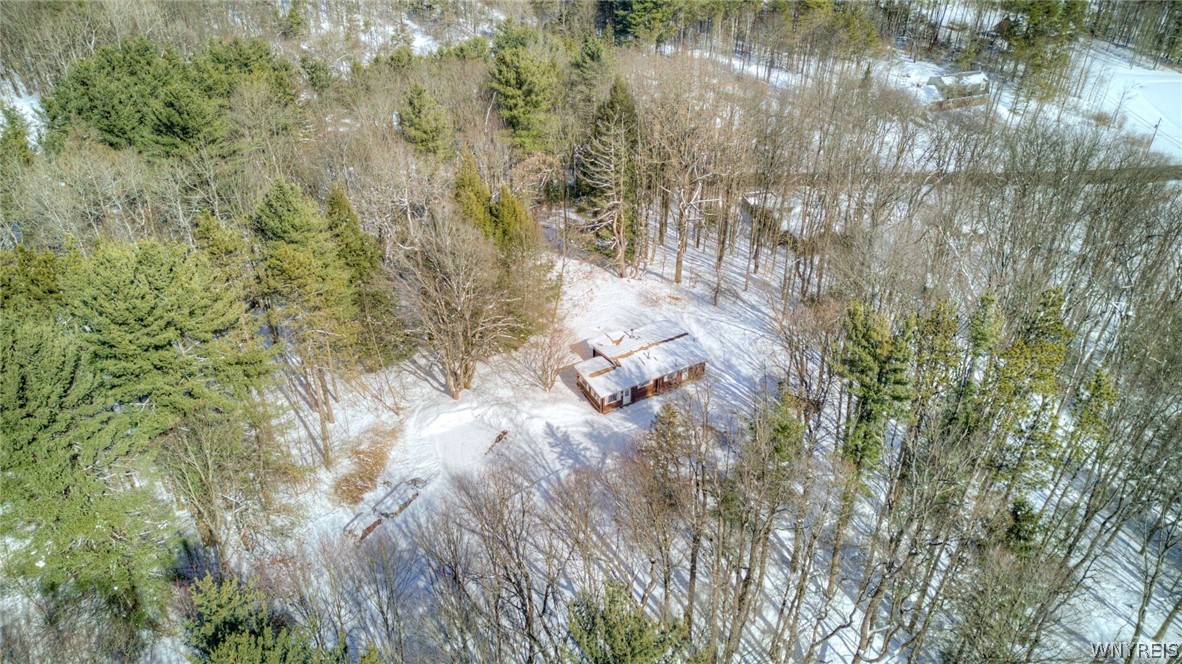 13357 Ward Road Holland, NY 14080 - Photo 4 of 37