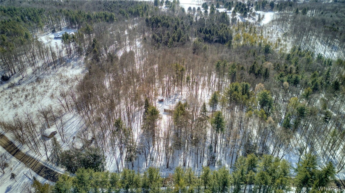 13357 Ward Road Holland, NY 14080 - Photo 5 of 37