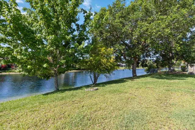 a backyard of a house with lots of plants and tree