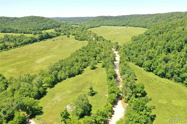 $960,000 | Tbd Big Barren Creek Road, Van Buren, MO 63965