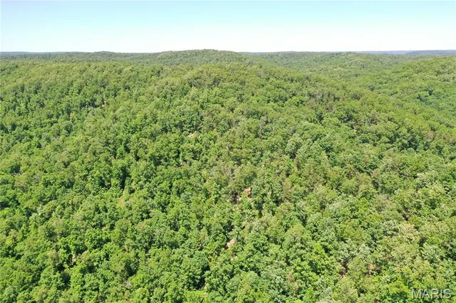$960,000 | Tbd Big Barren Creek Road, Van Buren, MO 63965