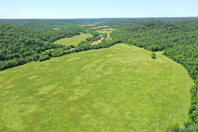 $960,000 | Tbd Big Barren Creek Road, Van Buren, MO 63965