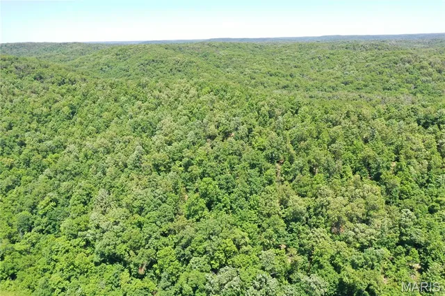 $899,000 | Tbd Big Barren Creek Road, Van Buren, MO 63965