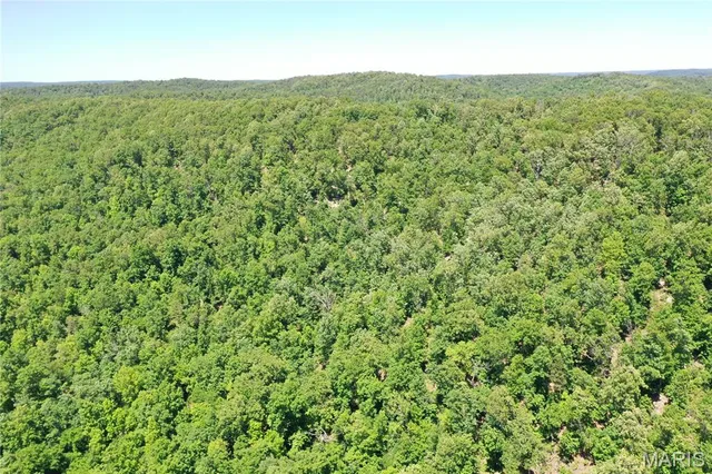 $960,000 | Tbd Big Barren Creek Road, Van Buren, MO 63965