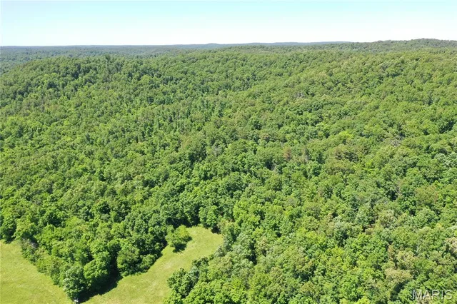 $960,000 | Tbd Big Barren Creek Road, Van Buren, MO 63965