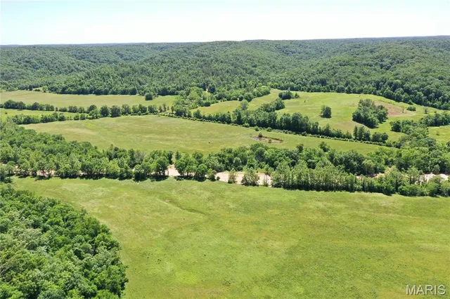 $899,000 | Tbd Big Barren Creek Road, Van Buren, MO 63965