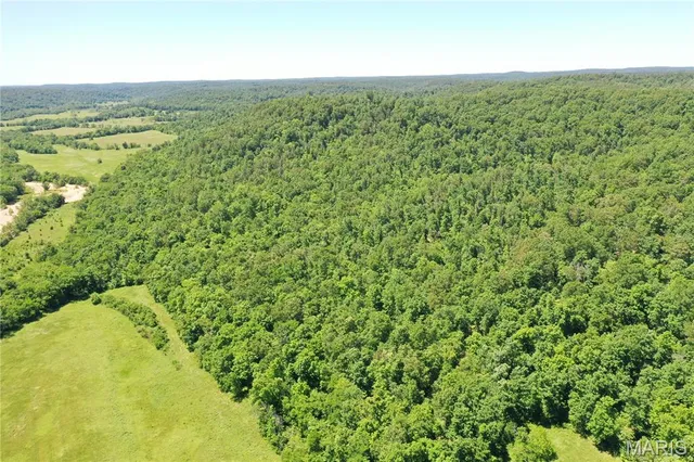 $960,000 | Tbd Big Barren Creek Road, Van Buren, MO 63965