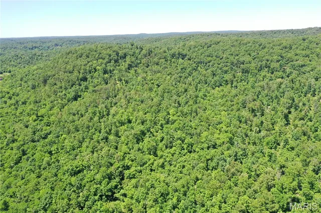 $960,000 | Tbd Big Barren Creek Road, Van Buren, MO 63965