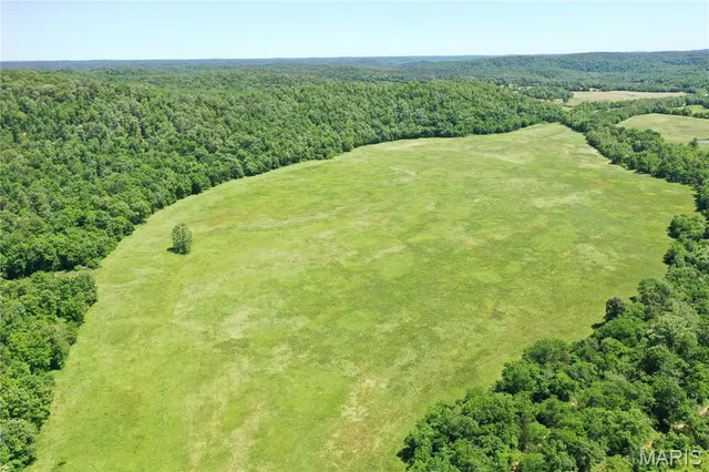 $960,000 | Tbd Big Barren Creek Road, Van Buren, MO 63965