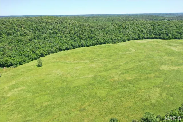 $960,000 | Tbd Big Barren Creek Road, Van Buren, MO 63965