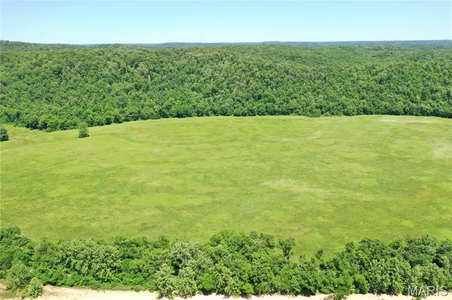 $960,000 | Tbd Big Barren Creek Road, Van Buren, MO 63965