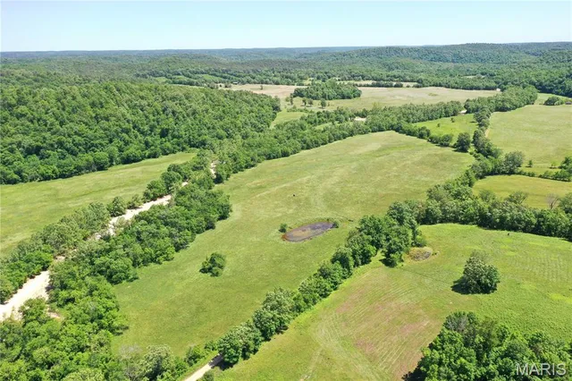$960,000 | Tbd Big Barren Creek Road, Van Buren, MO 63965