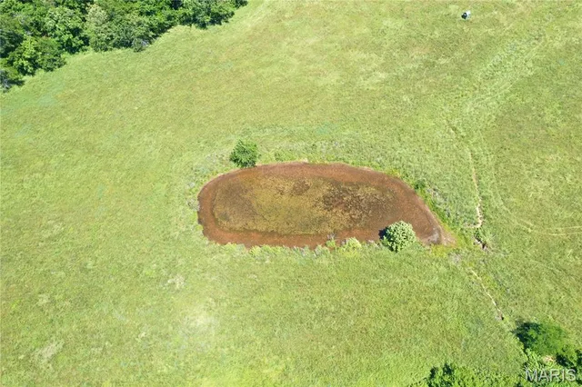 $960,000 | Tbd Big Barren Creek Road, Van Buren, MO 63965