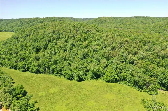 $960,000 | Tbd Big Barren Creek Road, Van Buren, MO 63965